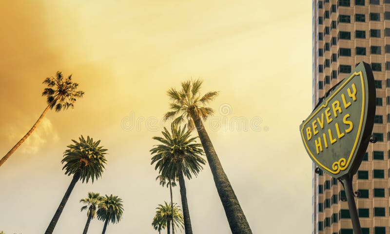 Los Angeles, Beverly Hills,West Coast Palm Tree Sunshine. Los Angeles, Beverly Hills,West Coast Palm Tree Sunshine