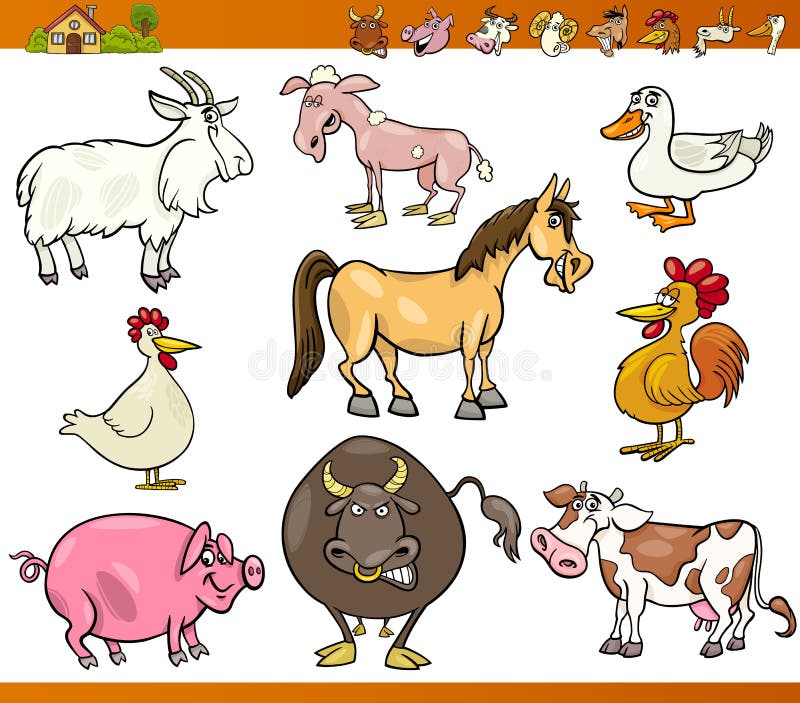 Cartoon Illustration Set of Comic Farm and Livestock Animals isolated on White. Cartoon Illustration Set of Comic Farm and Livestock Animals isolated on White