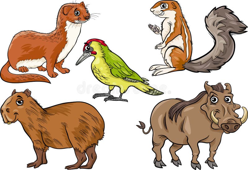 Los animales salvajes fijaron el ejemplo de la historieta libre illustration