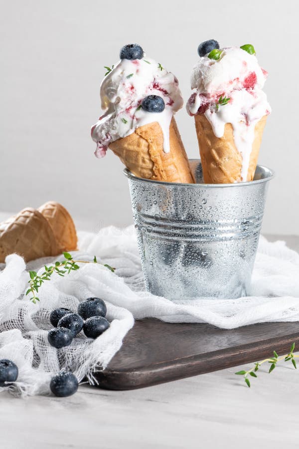 Los arándanos hechos en casa el helado en conos de la galleta y arándanos frescos imagen de archivo Los arándanos hechos en casa el helado en conos de la galleta y arándanos frescos imagen de archivo
