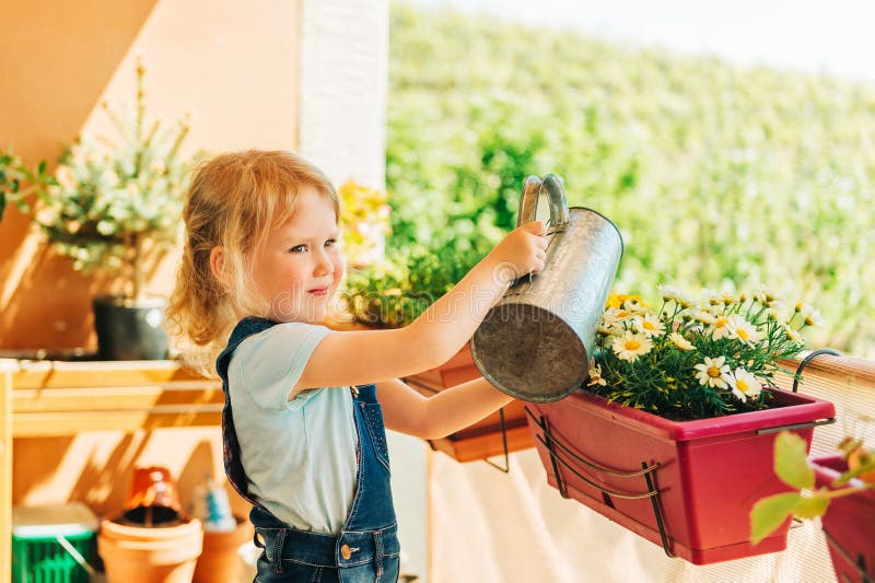 Los 3-4 años adorables embroman a la muchacha que riega las flores amarillas de la margarita en balcón soleado imagen de archivo Los 3-4 años adorables embroman a la muchacha que riega las flores amarillas de la margarita en balcón soleado imagen de archivo