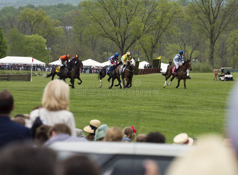 Los caballos de los relojes de la muchedumbre funcionan con a Virginia Gold Cup fotografía de archivo libre de regalías Los caballos de los relojes de la muchedumbre funcionan con a Virginia Gold Cup fotografía de archivo libre de regalías