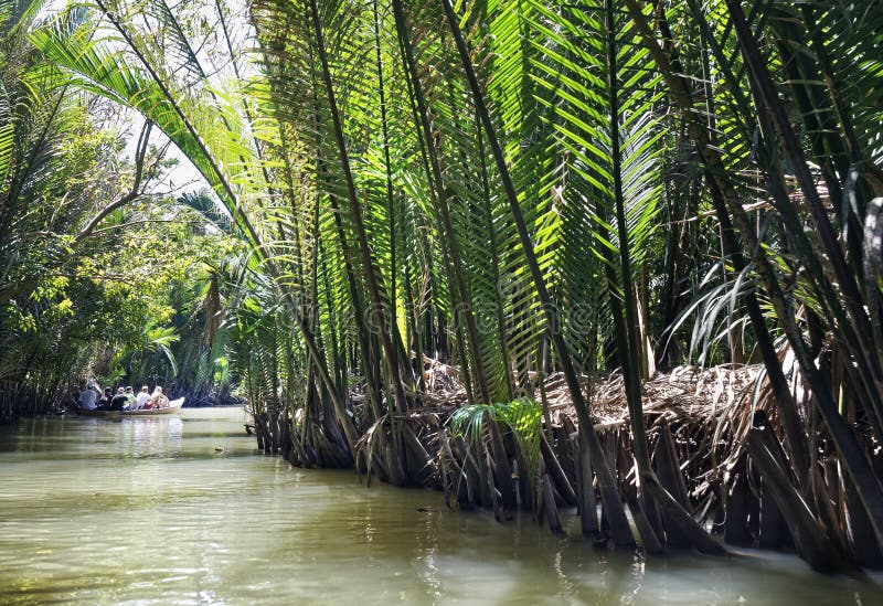 Los canales del delta del mekong están rodeados de selvas y manglares. barcos de remo vietnamitas en aguas del canal