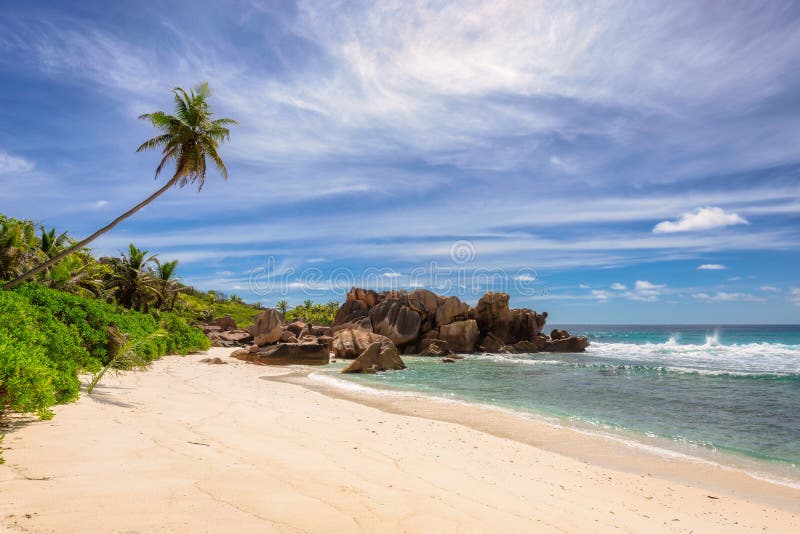 Palm trees on Paradise Anse Cocos Beach on La Digue island, Seychelles. Palm trees on Paradise Anse Cocos Beach on La Digue island, Seychelles