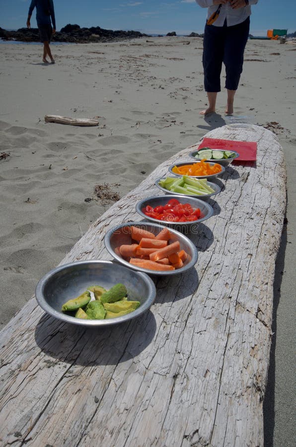 Los cuencos coloridos de verduras se alinearon en un registro para el almuerzo en un viaje del kajak a la península de Brookes, i imágenes de archivo libres de regalías Los cuencos coloridos de verduras se alinearon en un registro para el almuerzo en un viaje del kajak a la península de Brookes, i imágenes de archivo libres de regalías