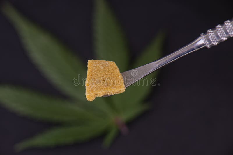 Los cáñamos concentran extraído de la planta de marijuana sobre bla imagenes de archivo Los cáñamos concentran extraído de la planta de marijuana sobre bla imagenes de archivo