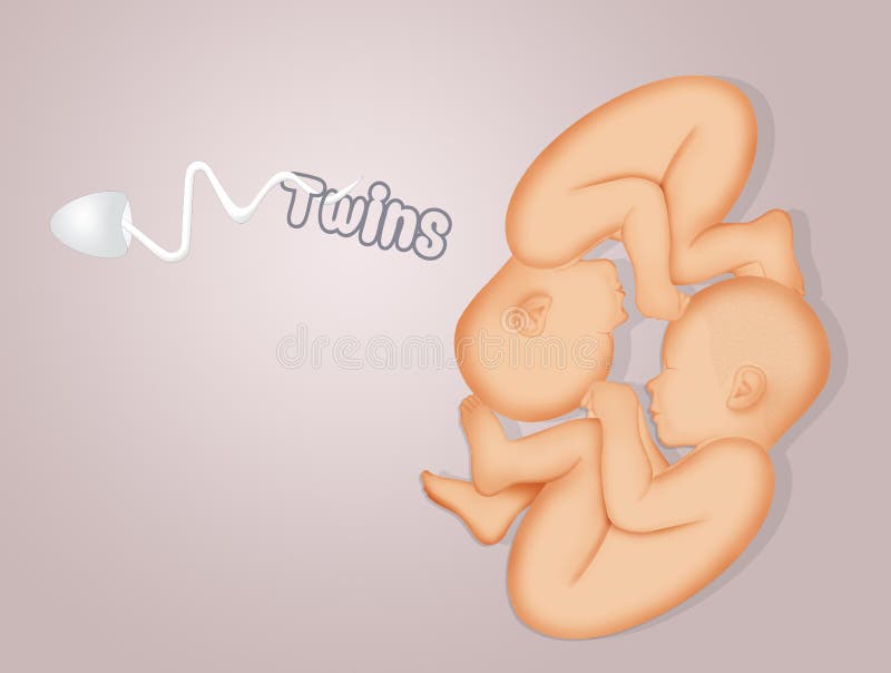 Illustration of twins birth announcement. Illustration of twins birth announcement