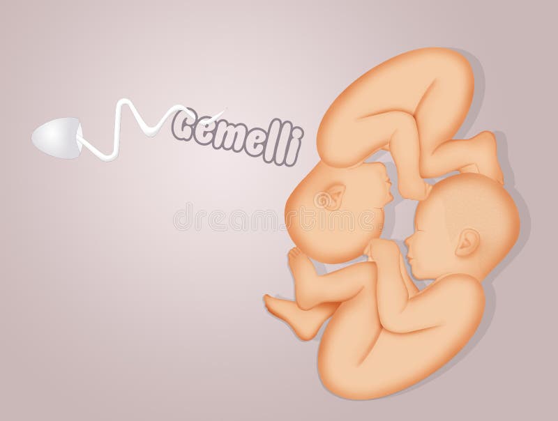 Illustration of twins birth announcement. Illustration of twins birth announcement