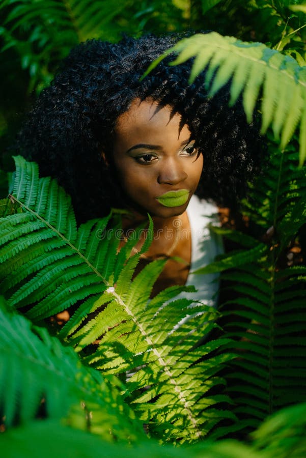 Los helechos verdes rodea a la muchacha bastante africana atractiva con sombreadores de ojos y lápiz labial verdes Ninguna mirada fotos de archivo libres de regalías Los helechos verdes rodea a la muchacha bastante africana atractiva con sombreadores de ojos y lápiz labial verdes Ninguna mirada fotos de archivo libres de regalías
