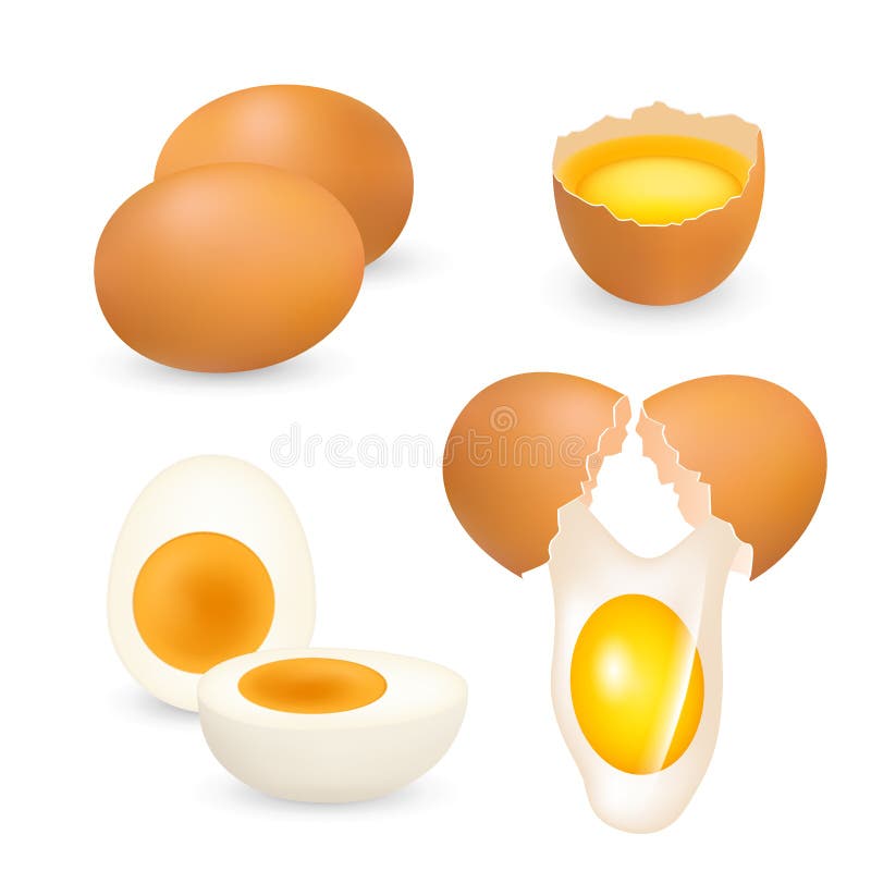 Los huevos del pollo fijados, vector el ejemplo realista ilustración del vector Los huevos del pollo fijados, vector el ejemplo realista ilustración del vector