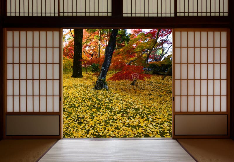 Los japoneses que resbalan las puertas de madera se abren en una vista del otoño de las hojas amarillas caidas del ginkgo imagenes de archivo Los japoneses que resbalan las puertas de madera se abren en una vista del otoño de las hojas amarillas caidas del ginkgo imagenes de archivo