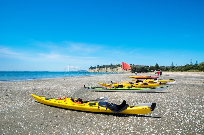 Los kajaks que parquean a lo largo de la playa larga de la bahía parquean en Auckland, Nueva Zelanda foto de archivo libre de regalías Los kajaks que parquean a lo largo de la playa larga de la bahía parquean en Auckland, Nueva Zelanda foto de archivo libre de regalías