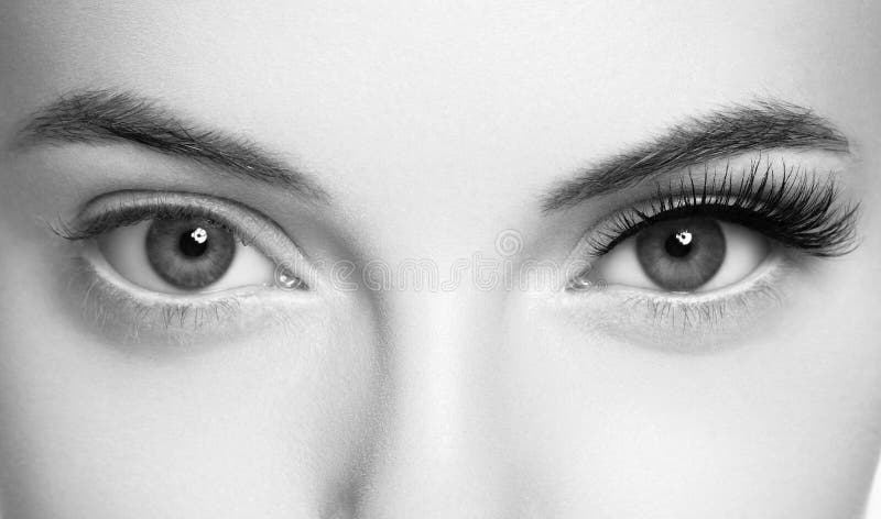 Los latigazos del ojo, mujer de la extensión del latigazo azotan cierre encima del monocromo macro