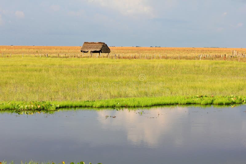 Los Llanos, Venezuela