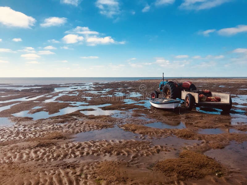 Los mejillones de los mariscos del tractor de cultivo de Hunstanton del día de fiesta del sol de la playa de la marea baja ven el fotografía de archivo Los mejillones de los mariscos del tractor de cultivo de Hunstanton del día de fiesta del sol de la playa de la marea baja ven el fotografía de archivo