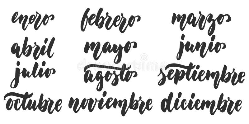 Los meses - months in spanish, hand drawn latin lettering quote isolated on the white background. Fun brush ink inscription for greeting card or poster design