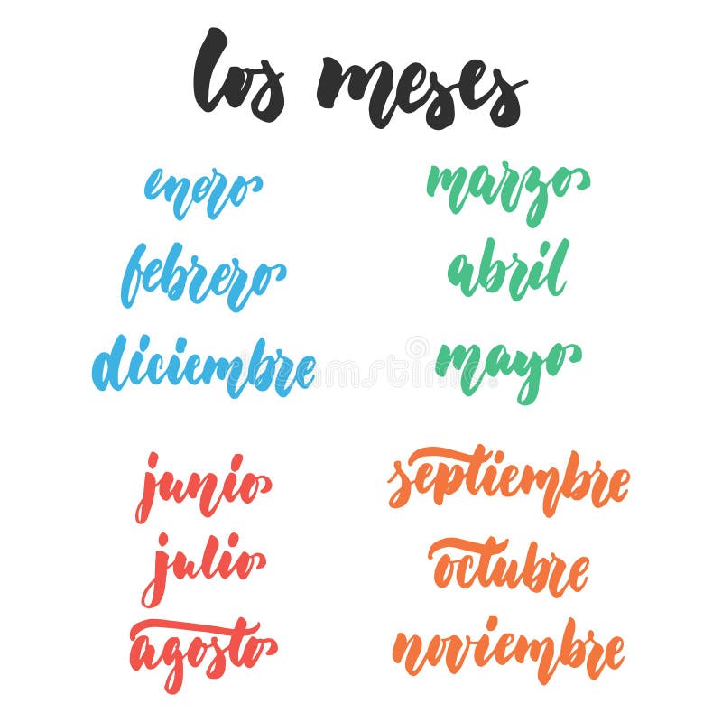 Los meses - months in spanish, hand drawn latin lettering quote isolated on the white background. Fun brush ink inscription for greeting card or poster design