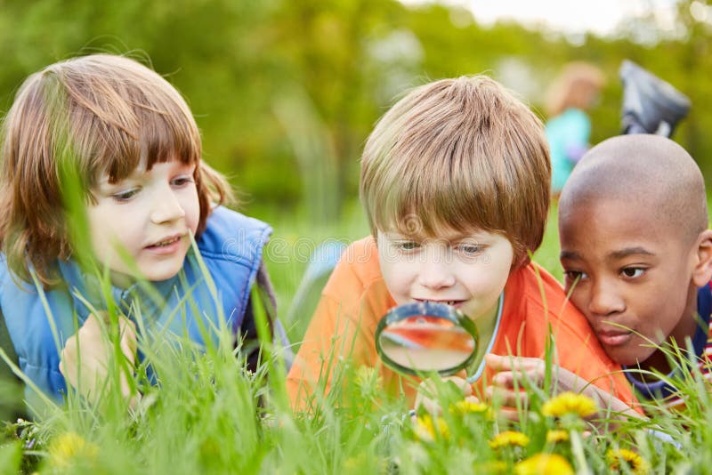 Los Niños Están Mirando La Naturaleza Con La Lupa Foto de archivo - Imagen  de flores, escuela: 137809642