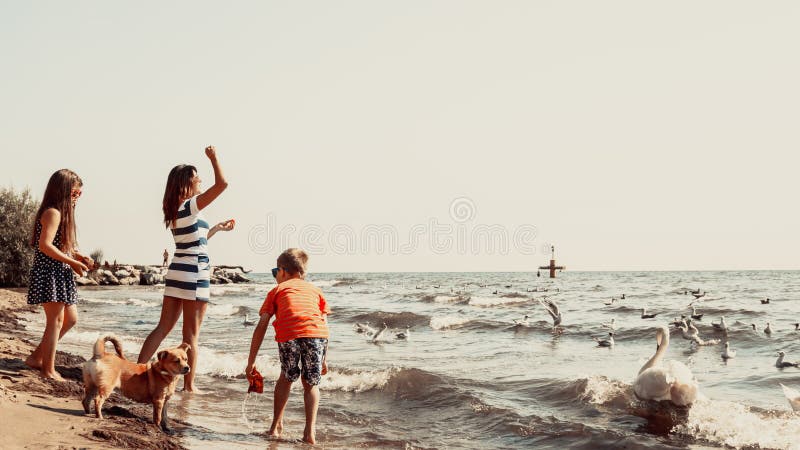 Los niños y la madre en la playa se divierten con el cisne fotos de archivo libres de regalías Los niños y la madre en la playa se divierten con el cisne fotos de archivo libres de regalías