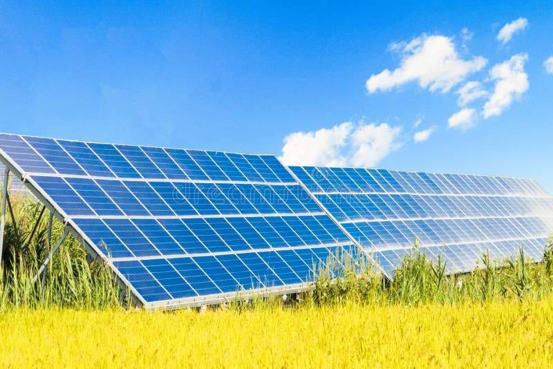 Los paneles de la energía solar, los módulos fotovoltaicos para la innovación ponen verde la energía para la vida imagenes de archivo Los paneles de la energía solar, los módulos fotovoltaicos para la innovación ponen verde la energía para la vida imagenes de archivo