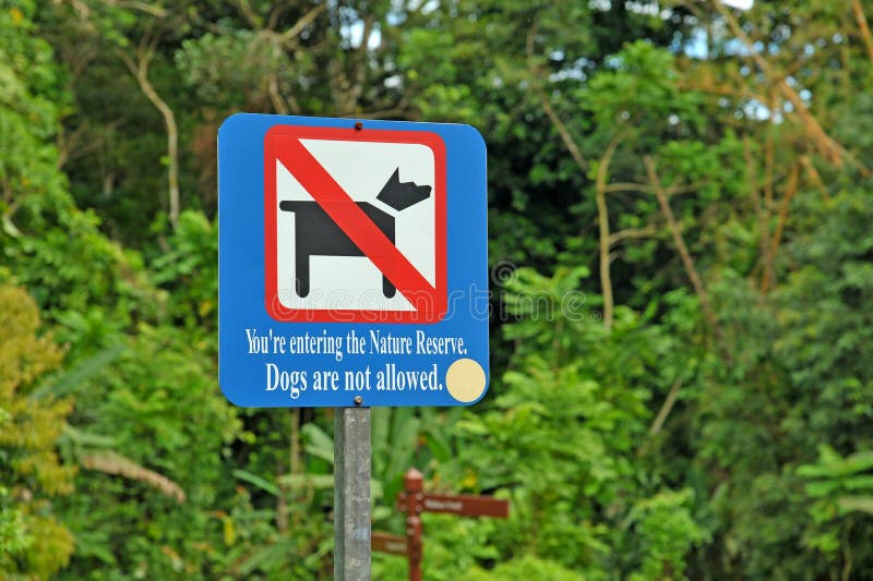 Property is not allowed. Dogs are not allowed. Not allowed Dog. Dogs not allowed sign. Знак Russians and Dogs are not allowed.