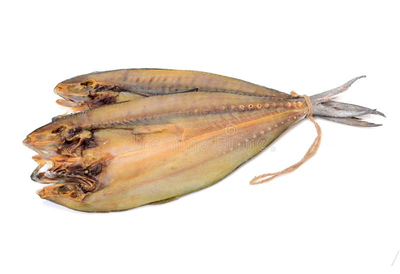 Los pescados salados secados de Anyer varan, Serang, Banten, Indonesia fotografía de archivo Los pescados salados secados de Anyer varan, Serang, Banten, Indonesia fotografía de archivo