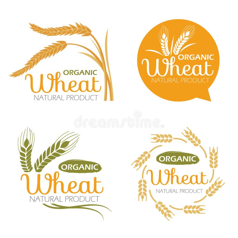 Los productos orgánicos del grano del arroz del arroz amarillo del trigo y la bandera sana de la comida firman diseño determinado stock de ilustración Los productos orgánicos del grano del arroz del arroz amarillo del trigo y la bandera sana de la comida firman diseño determinado stock de ilustración