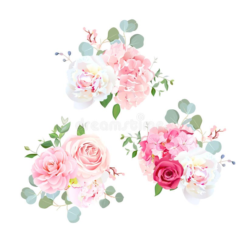 Los ramos de subieron, peonía, camelia, hortensia y eucalipto ilustración del vector Los ramos de subieron, peonía, camelia, hortensia y eucalipto ilustración del vector