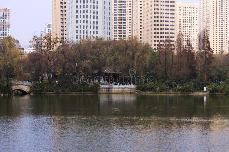 Los rascacielos ven sobre Lotus Pond foto de archivo libre de regalías Los rascacielos ven sobre Lotus Pond foto de archivo libre de regalías