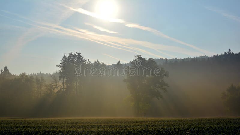 Los rayos del sol y del aire se vaporizan en la niebla