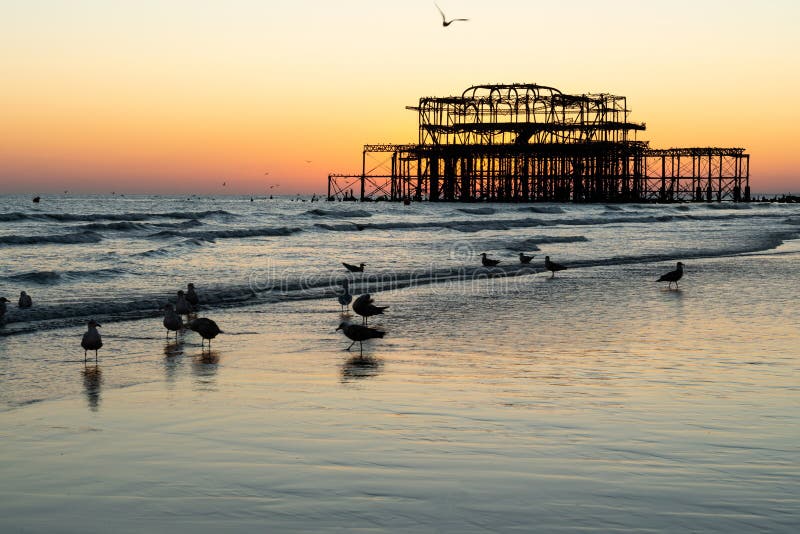 Los restos viejos de Brighton Pier dejaron la colocación en el mar con las ondas y las gaviotas hermosas en la playa fotografía de archivo libre de regalías Los restos viejos de Brighton Pier dejaron la colocación en el mar con las ondas y las gaviotas hermosas en la playa fotografía de archivo libre de regalías