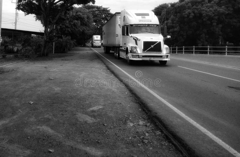los reyes del camino foto de archivo libre de regalías los reyes del camino foto de archivo libre de regalías