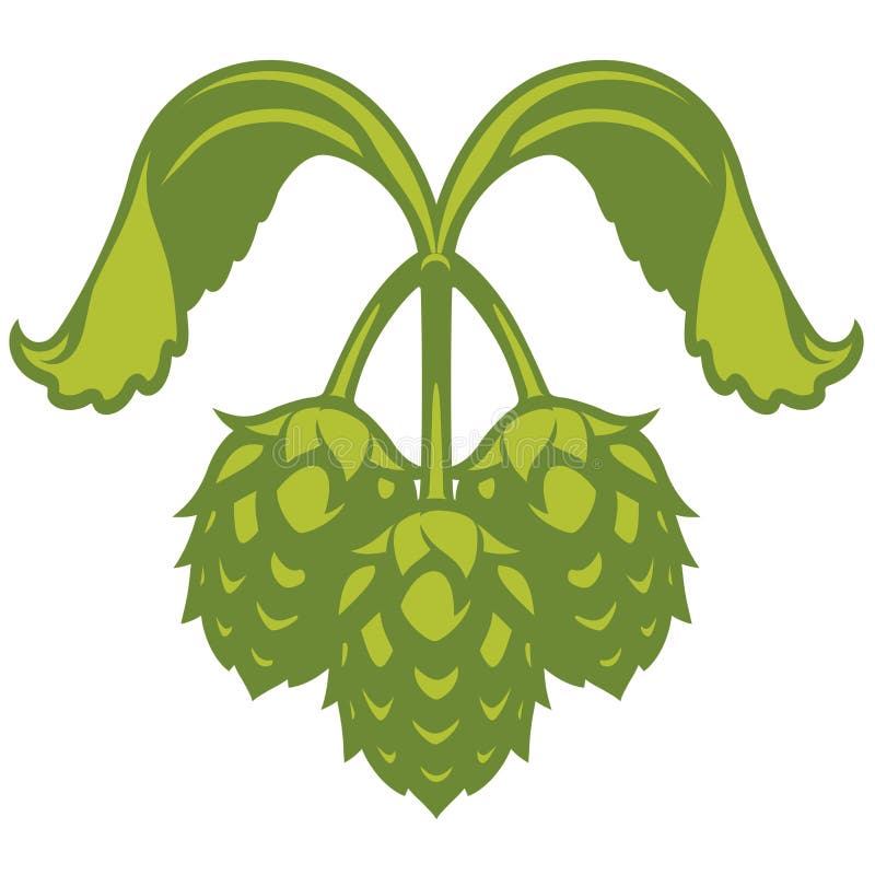 Los saltos vector el icono o el logotipo gráfico visual, ideal para la cerveza, la cerveza de malta, la cerveza inglesa, la cerve ilustración del vector
