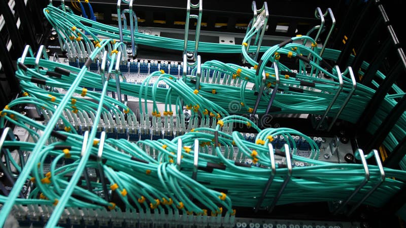Los servidores crypto de la opinión de la parte trasera conectaron con los alambres verdes