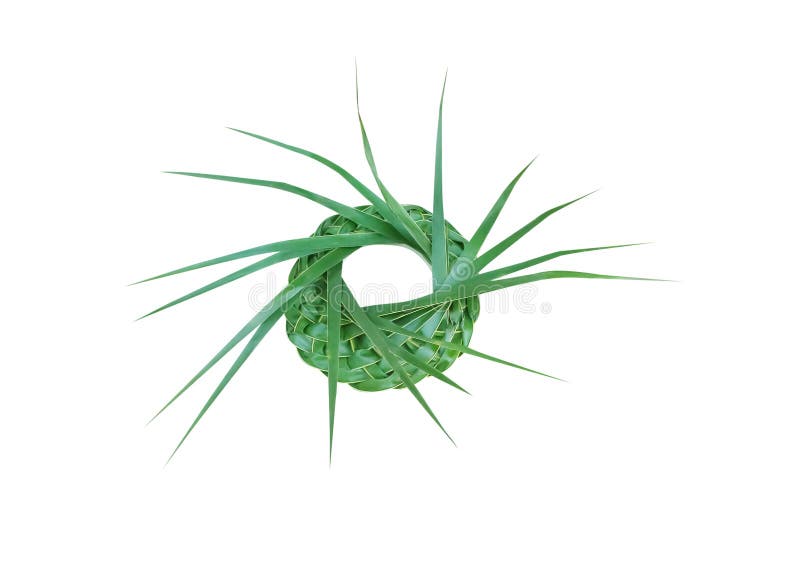 Los sombreros del desfile hicieron de la hoja de palma verde fresca, artes tejidos de la textura aislados en el fondo blanco con imágenes de archivo libres de regalías Los sombreros del desfile hicieron de la hoja de palma verde fresca, artes tejidos de la textura aislados en el fondo blanco con imágenes de archivo libres de regalías