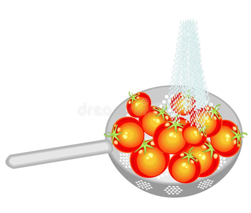 Los tomates maduros se lavan en un colador debajo de una corriente de la agua fría Según las reglas de higiene, las verduras reco libre illustration Los tomates maduros se lavan en un colador debajo de una corriente de la agua fría Según las reglas de higiene, las verduras reco libre illustration