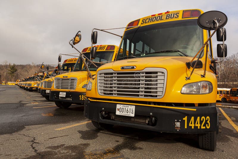 lose up selective focus frontal view of a school bus fleet at a parking lot.