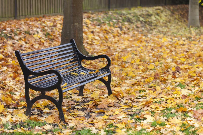 Loss Bereavement Concept Empty Park Bench