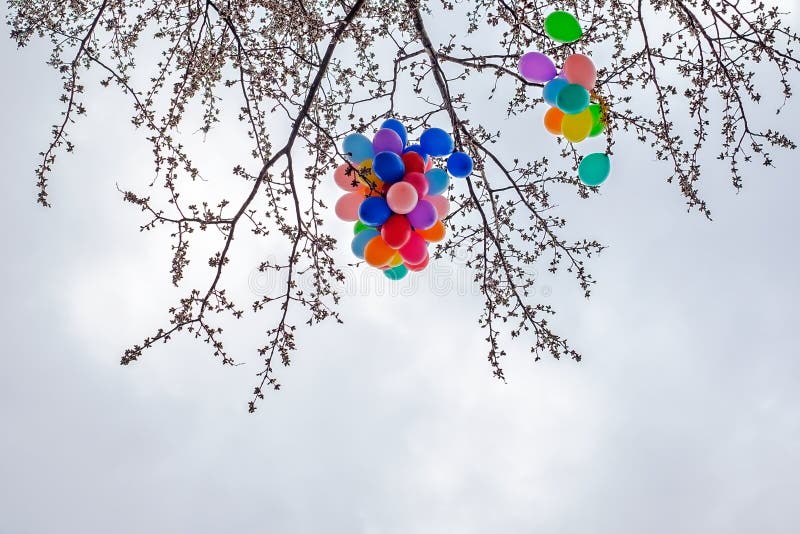 Lost bunch of painted balloons in sky flying away and tangling in the branches