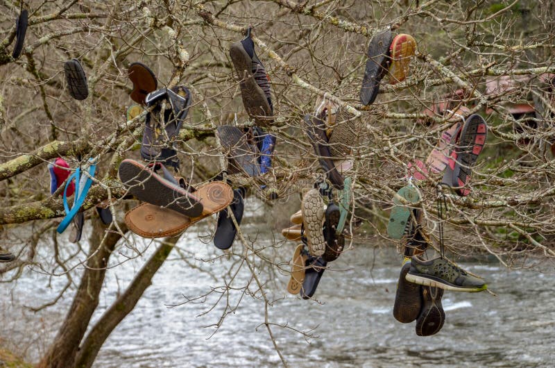 Water shoes for kayaking stock image. Image of shoes 10248925