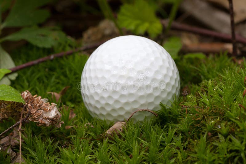 Lost Golf Ball in Tall Grass Stock Image Image of lost, grass 14255011