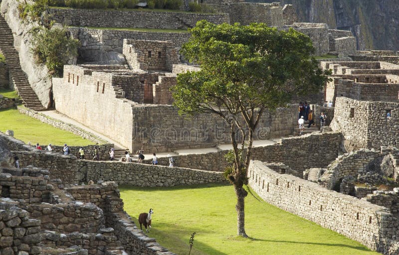 Lost incas city Machu-Picchu