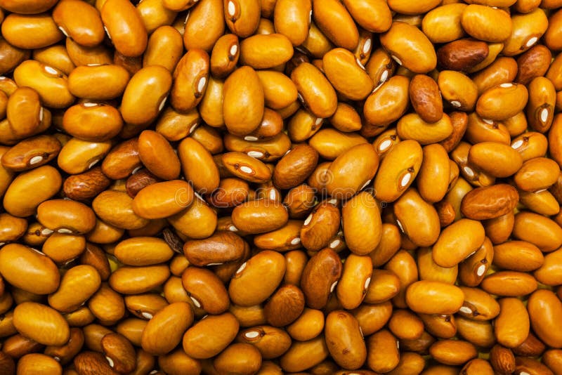 A lot of bean seeds stock photo. Image of healthy, agriculture 143026436