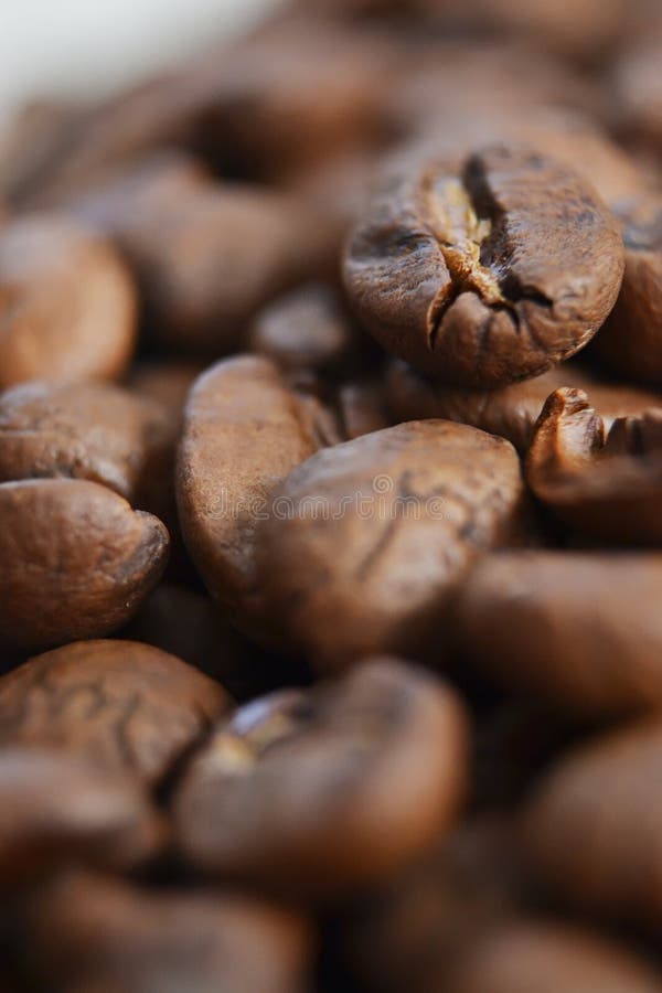 A lot of coffe beans - detailed shot royalty free stock images