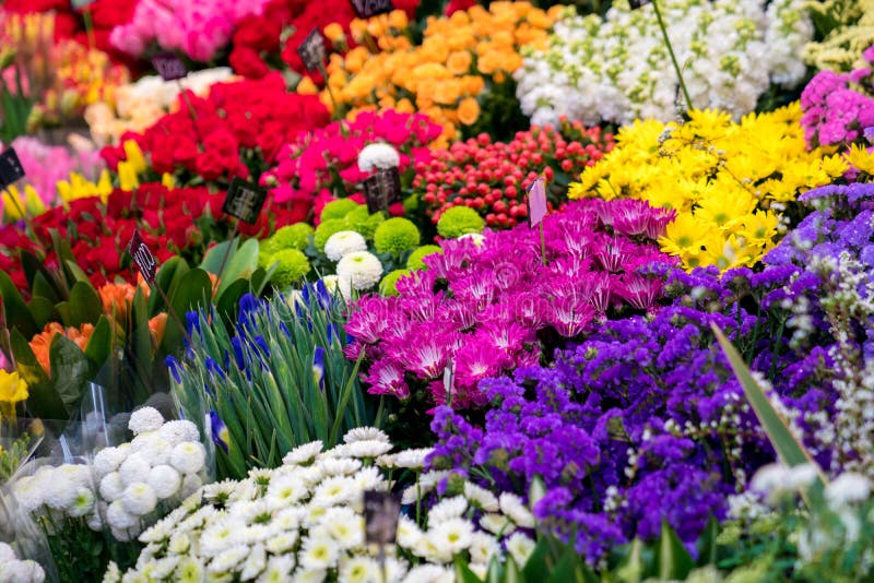 A Lot of Flowers in Flower Shop at Kuromon Ichiba Market Fish Market ...