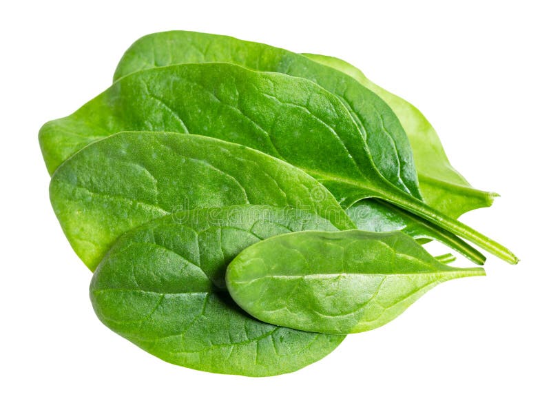 Lot of Leaves of Spinach Leafy Vegetable Cut Out Stock Image Image of