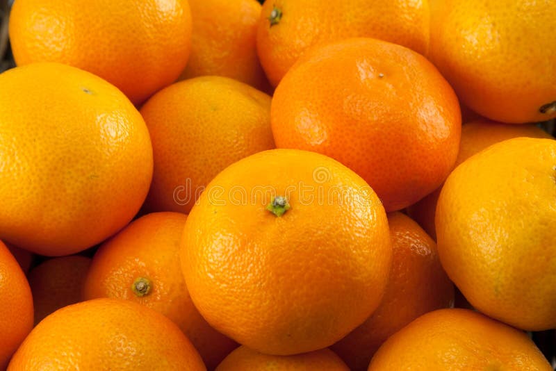 A Lot of Mandarins or Tangerines Stock Photo Image of fruits, group