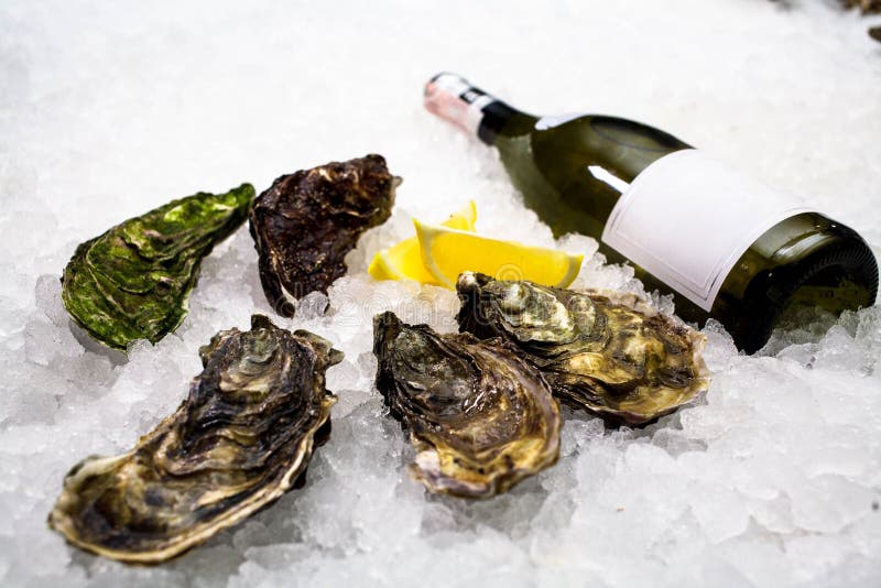Raw Oysters with Bottle of Alcohol Drink and Limes on Dark Table. Flat Lay. Top View. Food