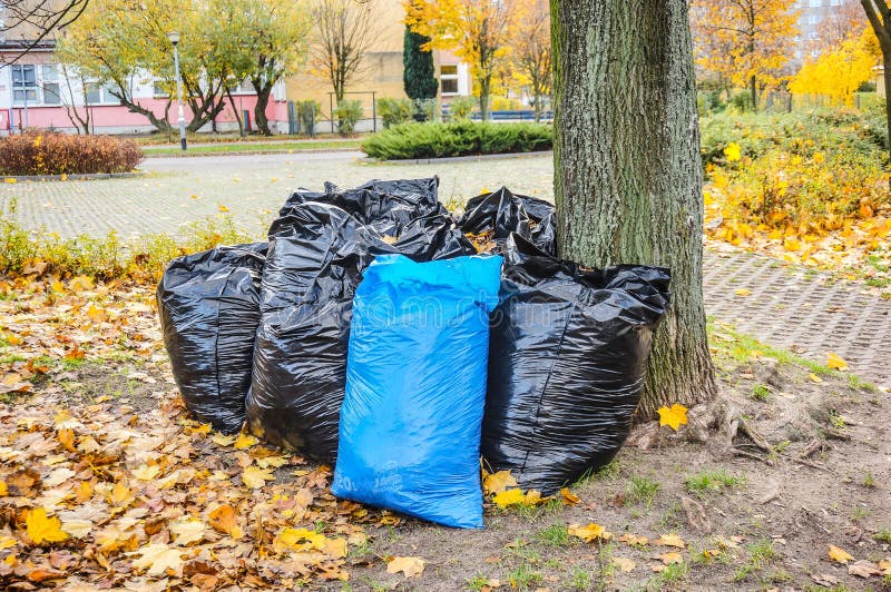 Premium Photo  Big bags of garbage on the floor near the trees in the park  environment concept