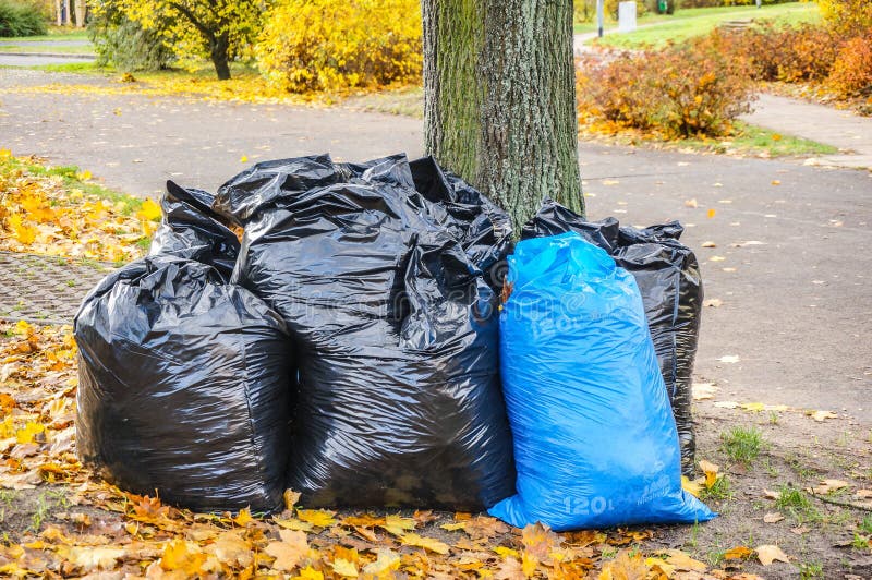 Plastic Trash Bag Caught Tree Stock Photo 1007497321